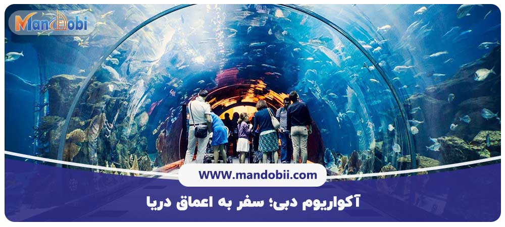 آکواریوم دبی؛ سفر به اعماق دریا