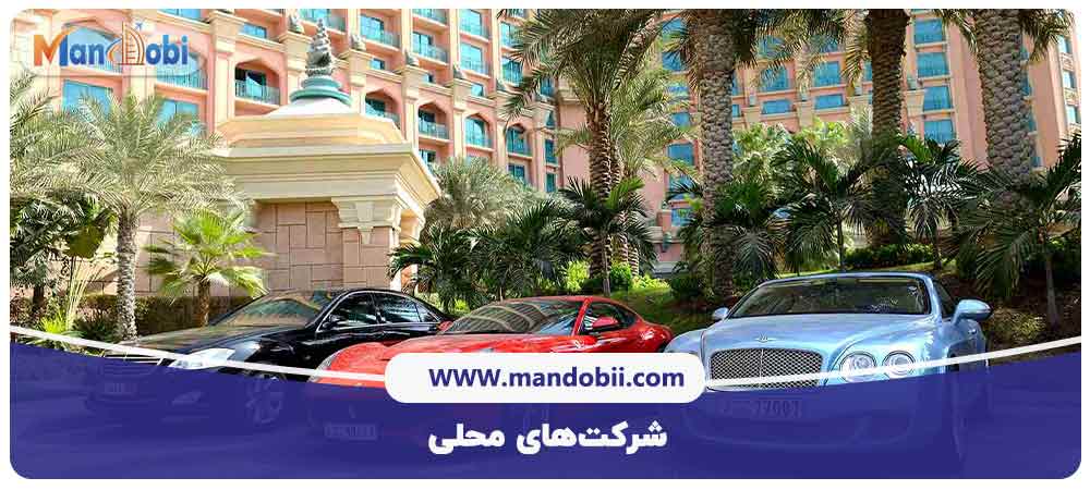 شرکت‌های محلی