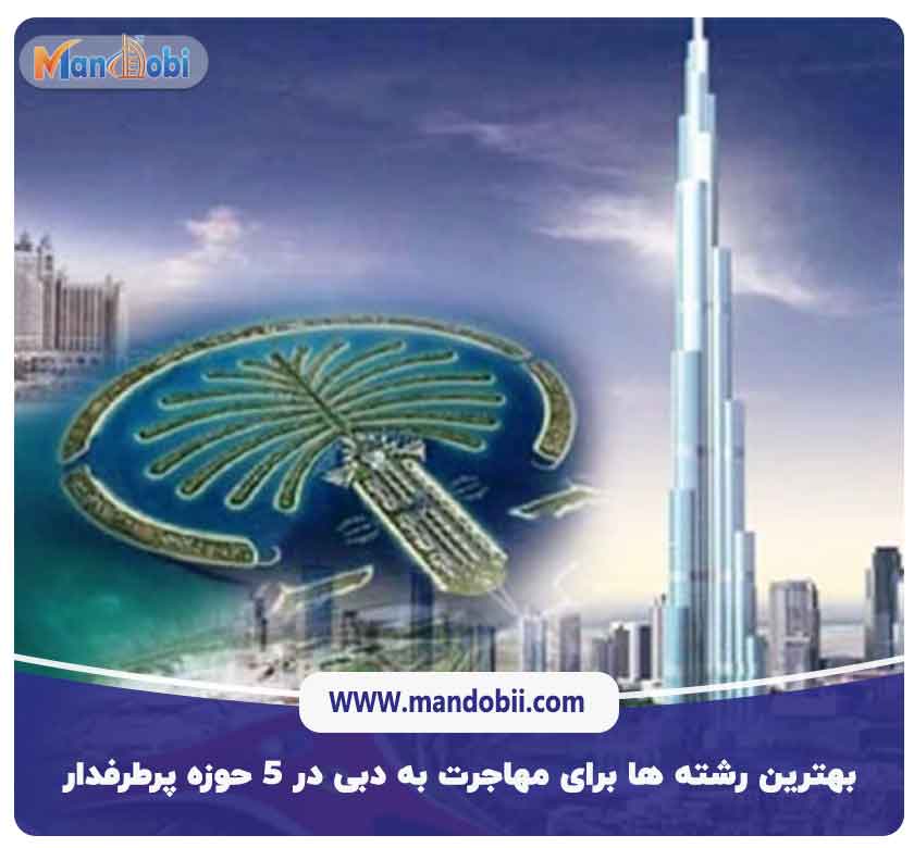 بهترین رشته ها برای مهاجرت به دبی