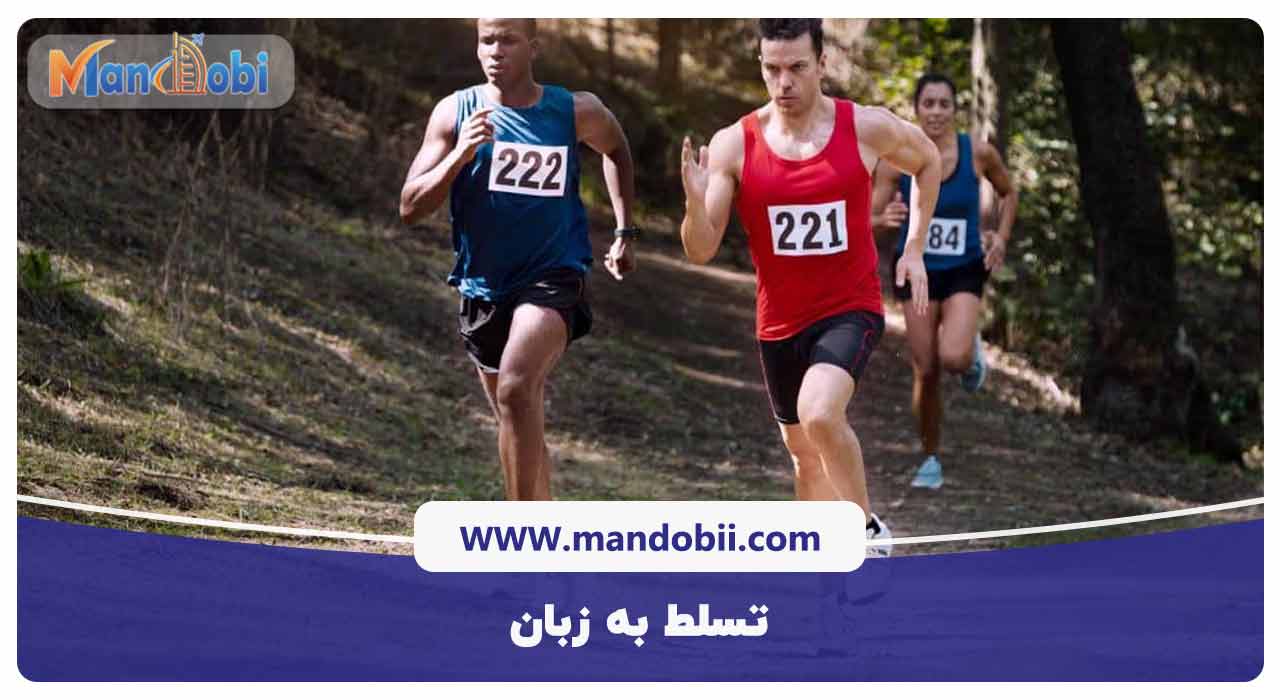 تسلط به زبان