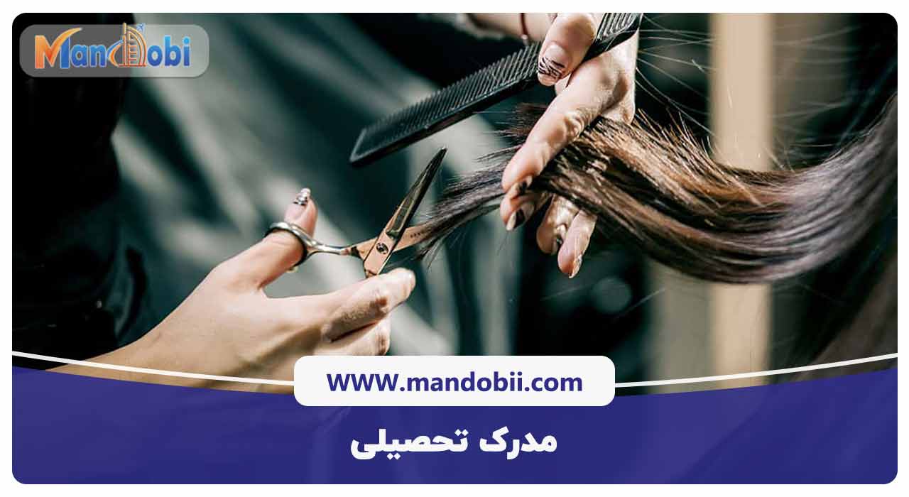 مدرک تحصیلی