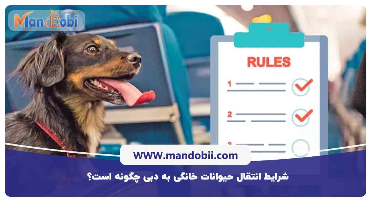 شرایط انتقال حیوانات خانگی به دبی چگونه است؟