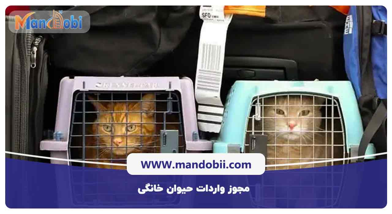 مجوز واردات حیوان خانگی