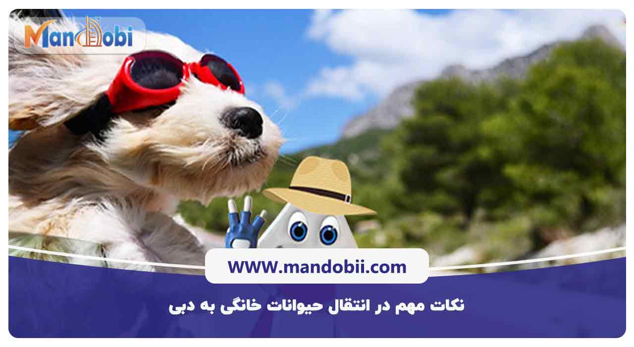 نکات مهم در انتقال حیوانات خانگی به دبی