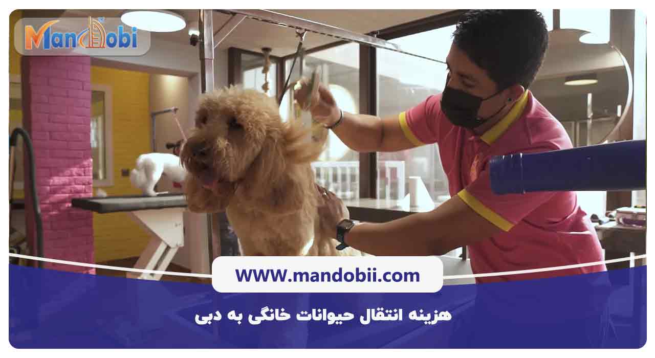 هزینه انتقال حیوانات خانگی به دبی