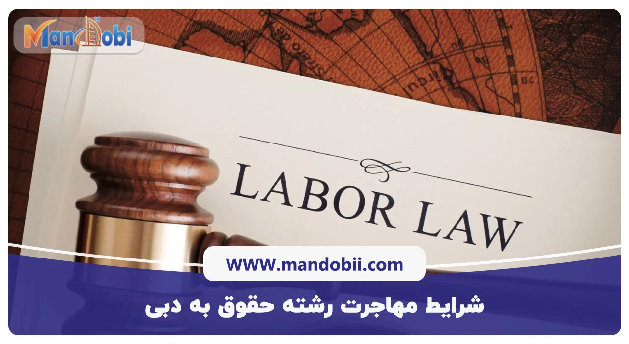 شرایط مهاجرت رشته حقوق به دبی