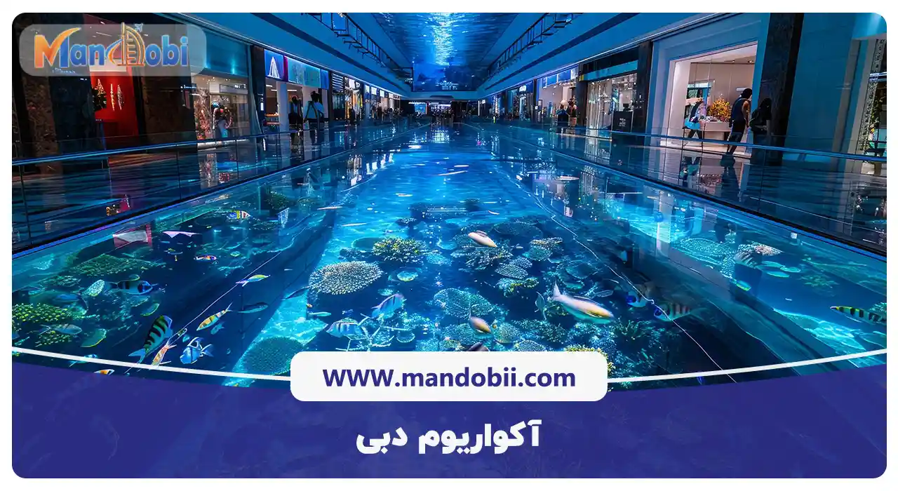 آکواریوم دبی