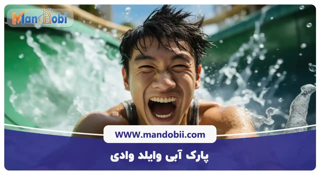 پارک آبی وایلد وادی